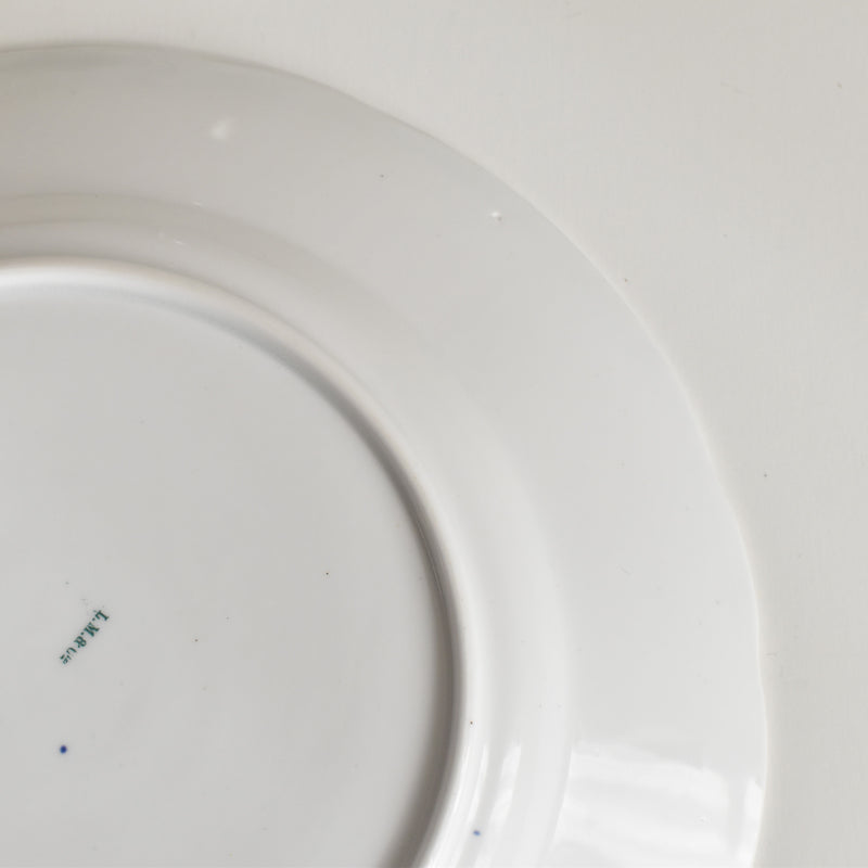 アンティークプレート LM&Cie クレイユモントロー Flora Lichen （フローラ リケン） A