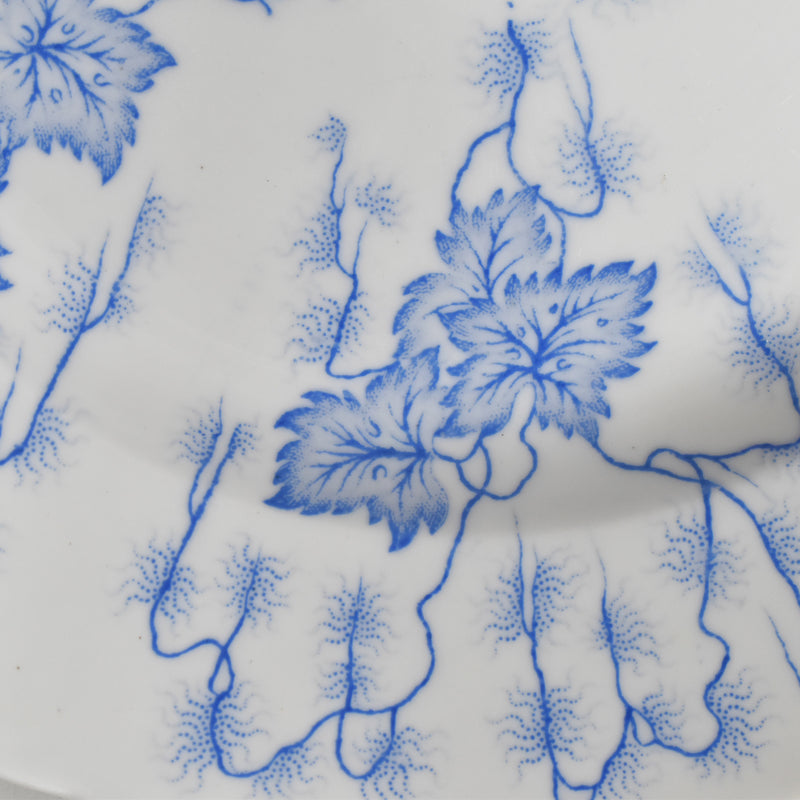 Antique Plate, LM&Cie Creil-Montereau, Flora Lichen (B)