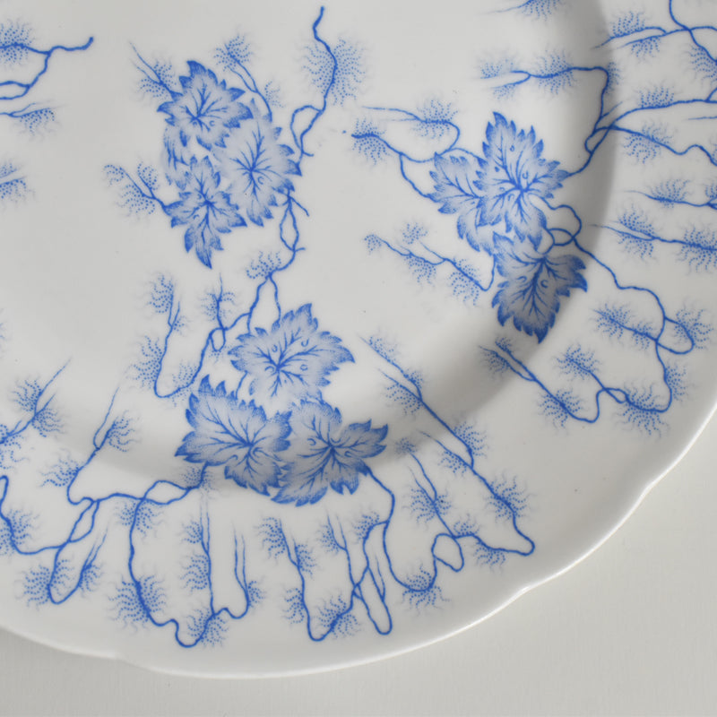 Antique Plate, LM&Cie Creil-Montereau, Flora Lichen (B)