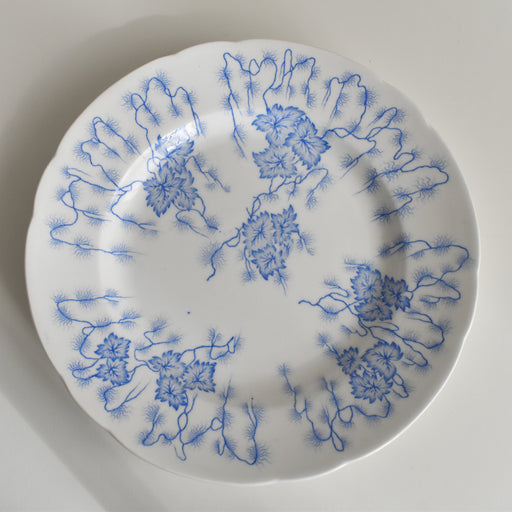 アンティークプレート LM&Cie クレイユモントロー Flora Lichen （フローラ リケン） B