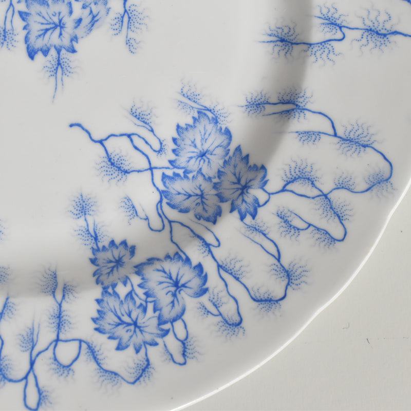 Antique Plate, LM&Cie Creil-Montereau, Flora Lichen (B)