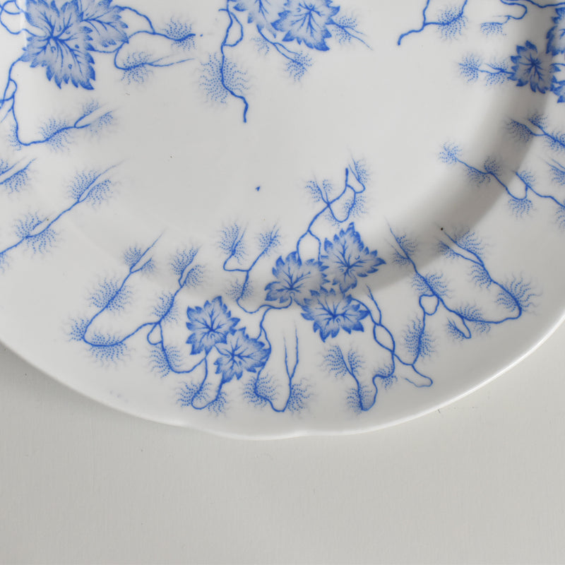 Antique Plate, LM&Cie Creil-Montereau, Flora Lichen (B)