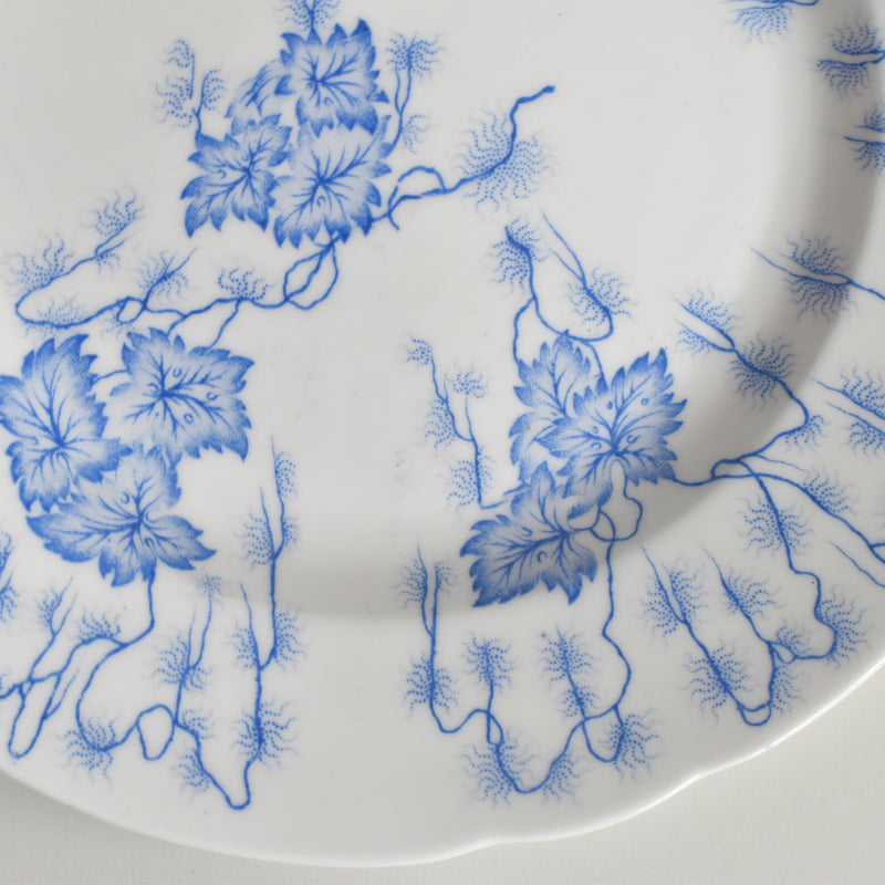 Antique Plate LM&Cie Creil-Montereau Flora Lichen C