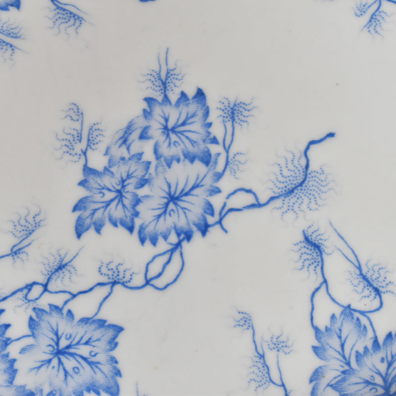 Antique Plate LM&Cie Creil-Montereau Flora Lichen C