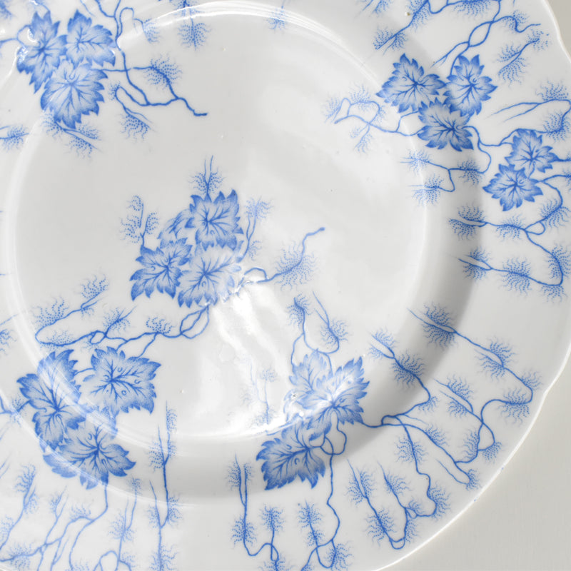Antique Plate LM&Cie Creil-Montereau Flora Lichen C