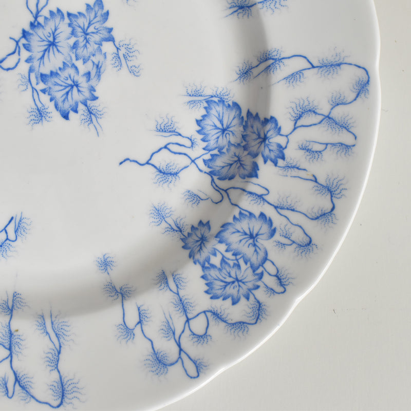 Antique Plate LM&Cie Creil-Montereau Flora Lichen C