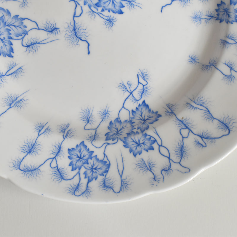 Antique Plate LM&Cie Creil-Montereau Flora Lichen C