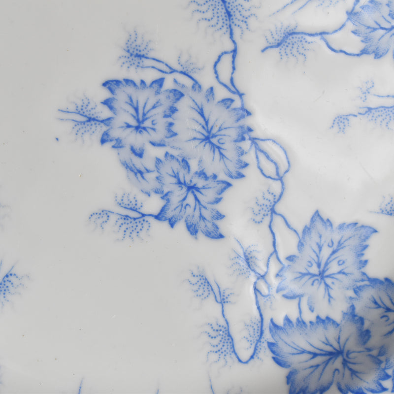 Antique Plate LM&Cie Creil et Montereau Flora Lichen D