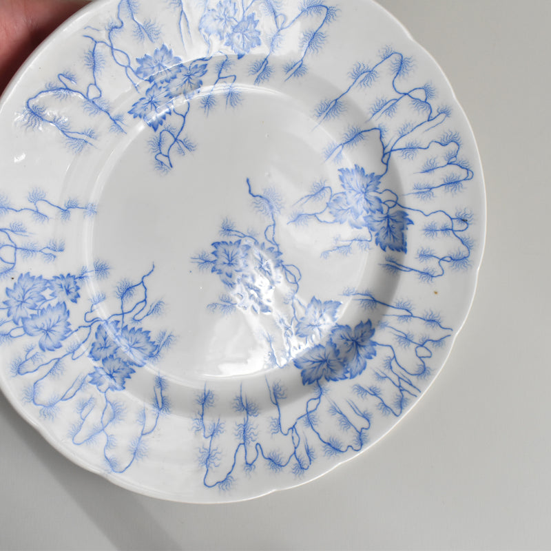 Antique Plate LM&Cie Creil et Montereau Flora Lichen D