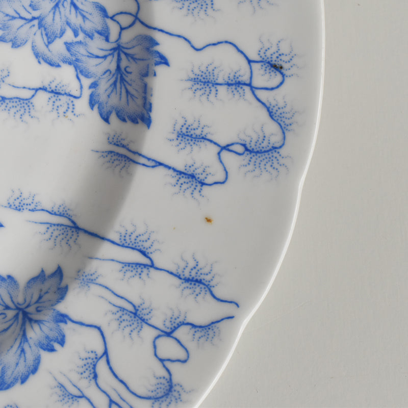 Antique Plate LM&Cie Creil et Montereau Flora Lichen D