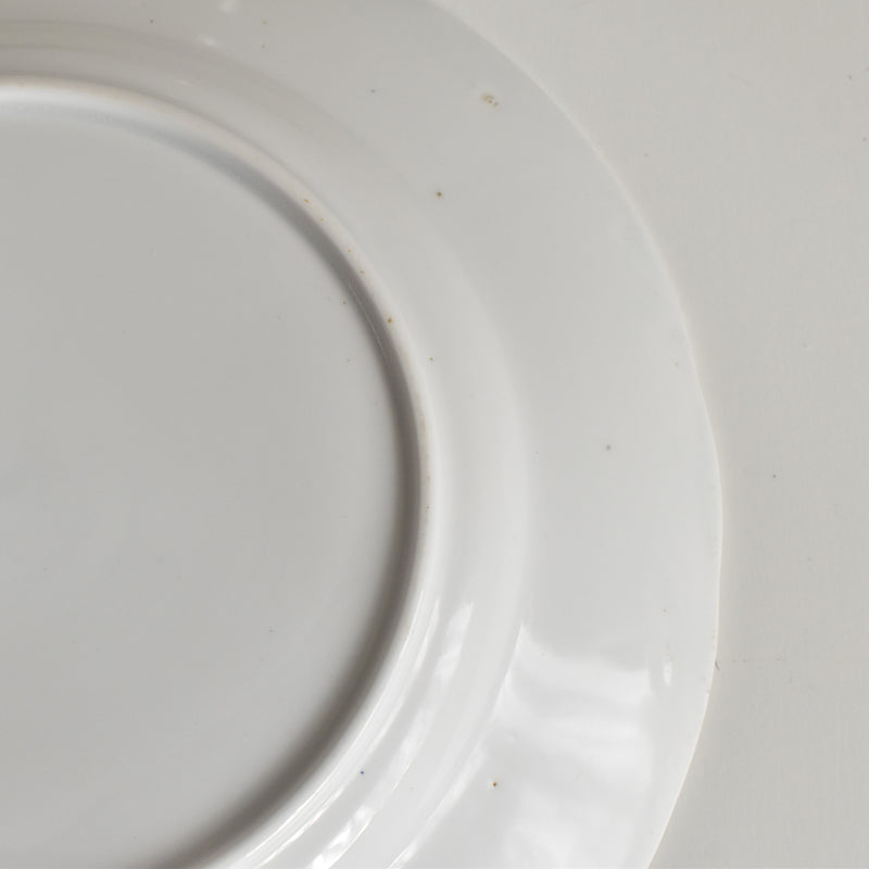 Antique Plate LM&Cie Creil et Montereau Flora Lichen D