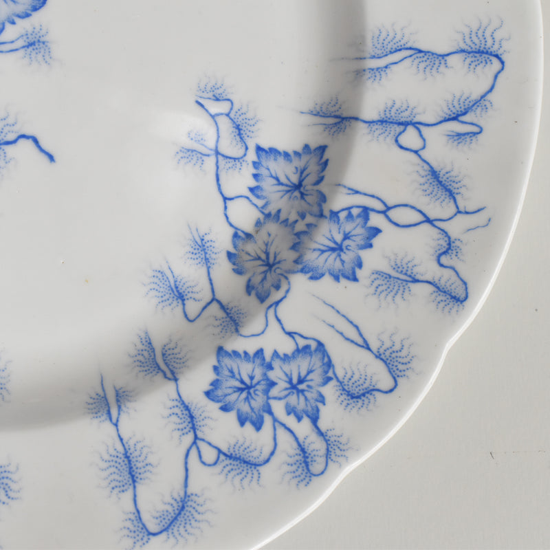 Antique Plate LM&Cie Creil et Montereau Flora Lichen D