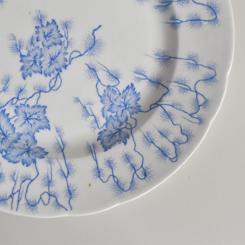 Antique Plate LM&Cie Creil et Montereau Flora Lichen D