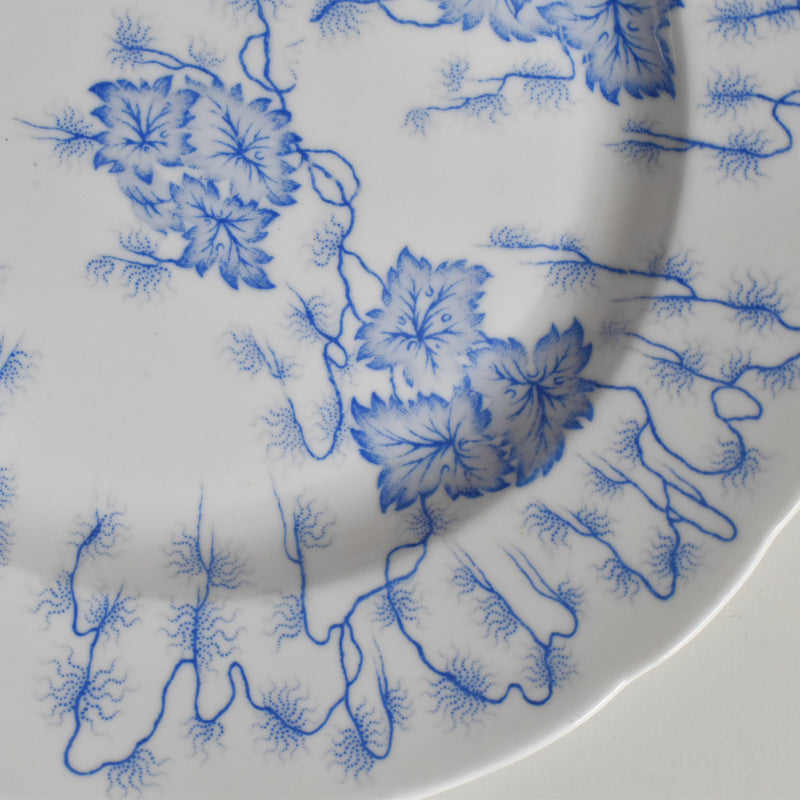Antique Plate, LM&Cie Creil-Montereau, Flora Lichen E