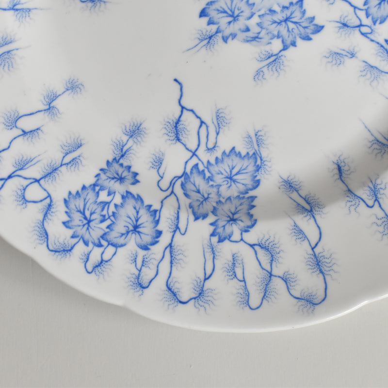 Antique Plate, LM&Cie Creil-Montereau, Flora Lichen E