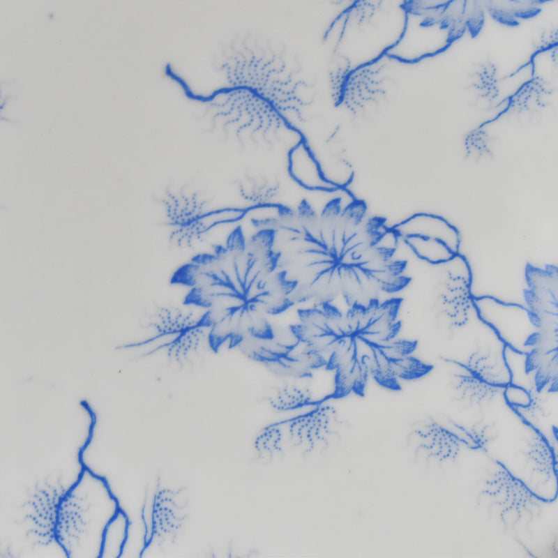 Antique Plate, LM&Cie Creil-Montereau, Flora Lichen E