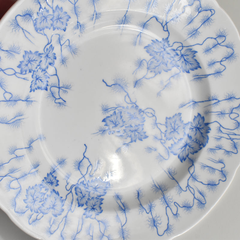 Antique Plate, LM&Cie Creil-Montereau, Flora Lichen E