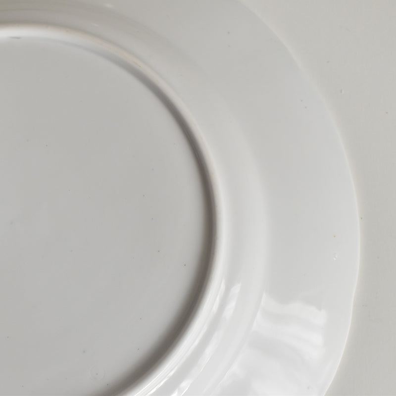 Antique Plate, LM&Cie Creil-Montereau, Flora Lichen E