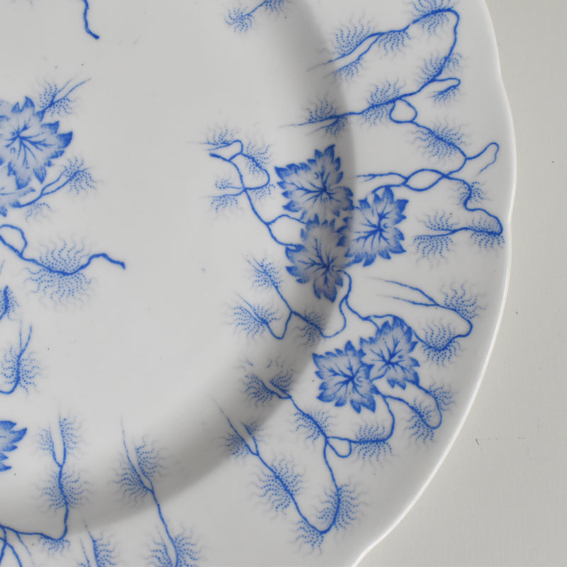 Antique Plate, LM&Cie Creil-Montereau, Flora Lichen E