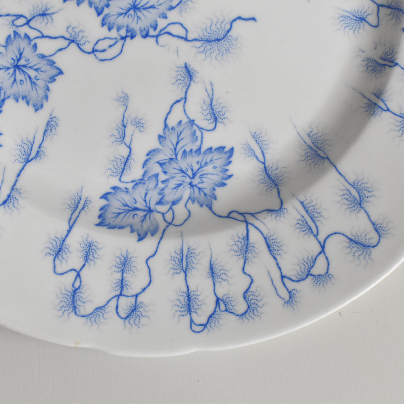 Antique Plate, LM&Cie Creil-Montereau, Flora Lichen E