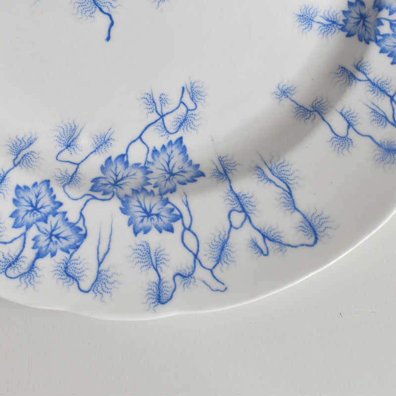 Antique Plate: LM&Cie Creil-Montereau Flora Lichen F