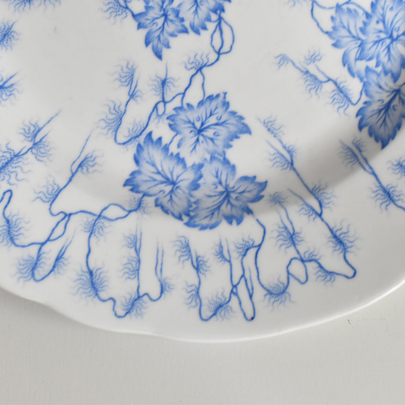 Antique Plate: LM&Cie Creil-Montereau Flora Lichen F