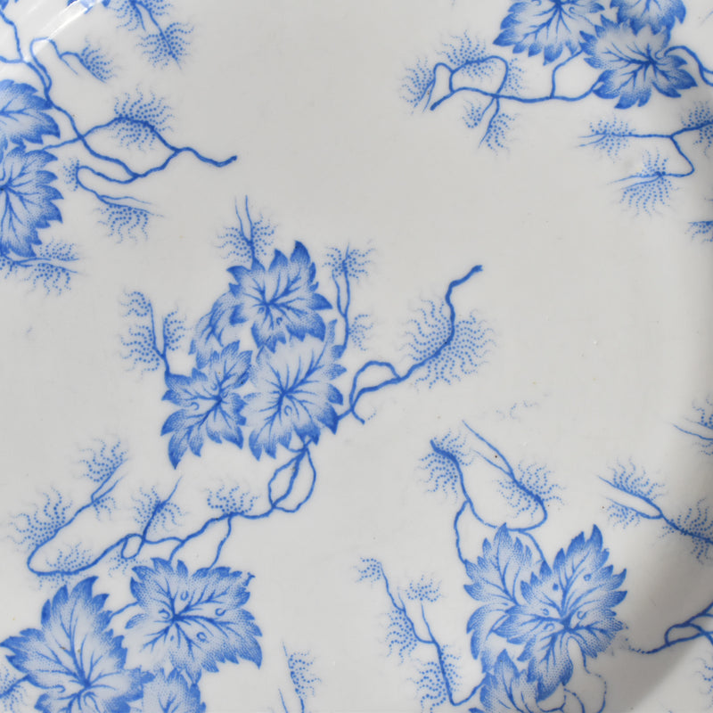 Antique Plate: LM&Cie Creil-Montereau Flora Lichen F