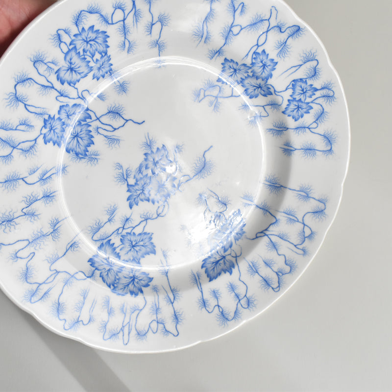 Antique Plate: LM&Cie Creil-Montereau Flora Lichen F
