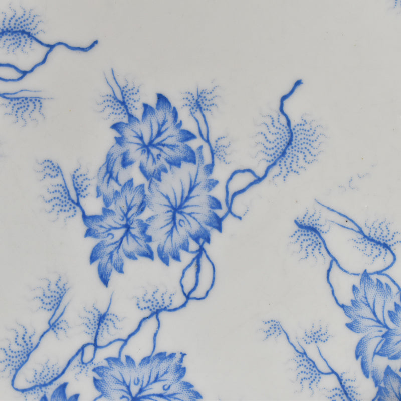 Antique Plate: LM&Cie Creil-Montereau Flora Lichen F