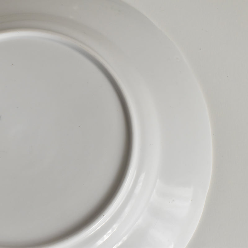 Antique Plate: LM&Cie Creil-Montereau Flora Lichen F