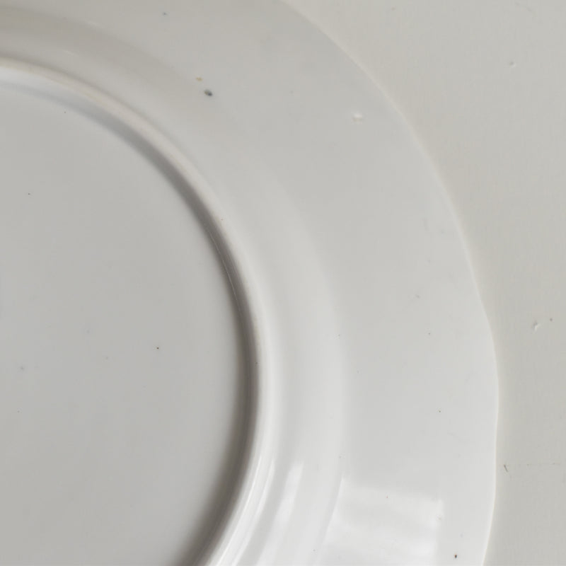 Antique Plate: LM&Cie Creil-Montereau Flora Lichen F