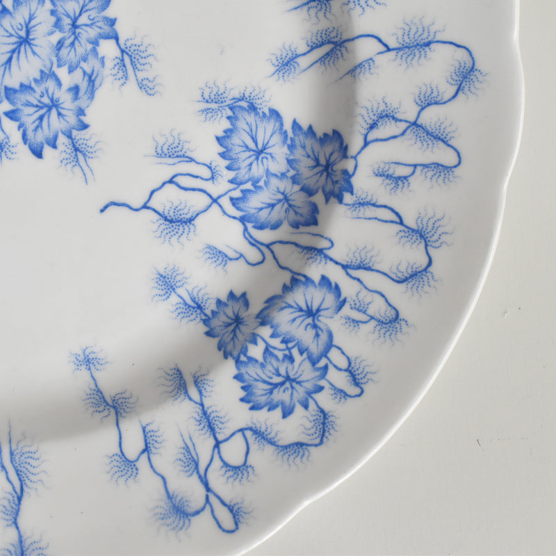 Antique Plate: LM&Cie Creil-Montereau Flora Lichen F