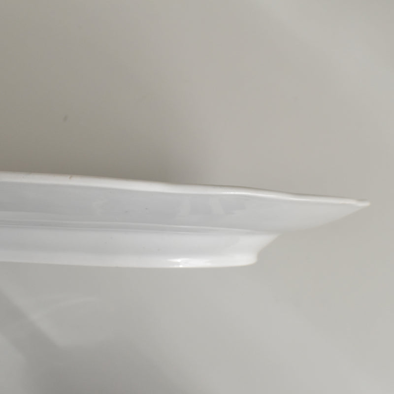 Antique Rectangular Platter, LM&Cie Creil et Montereau Flora Lichen