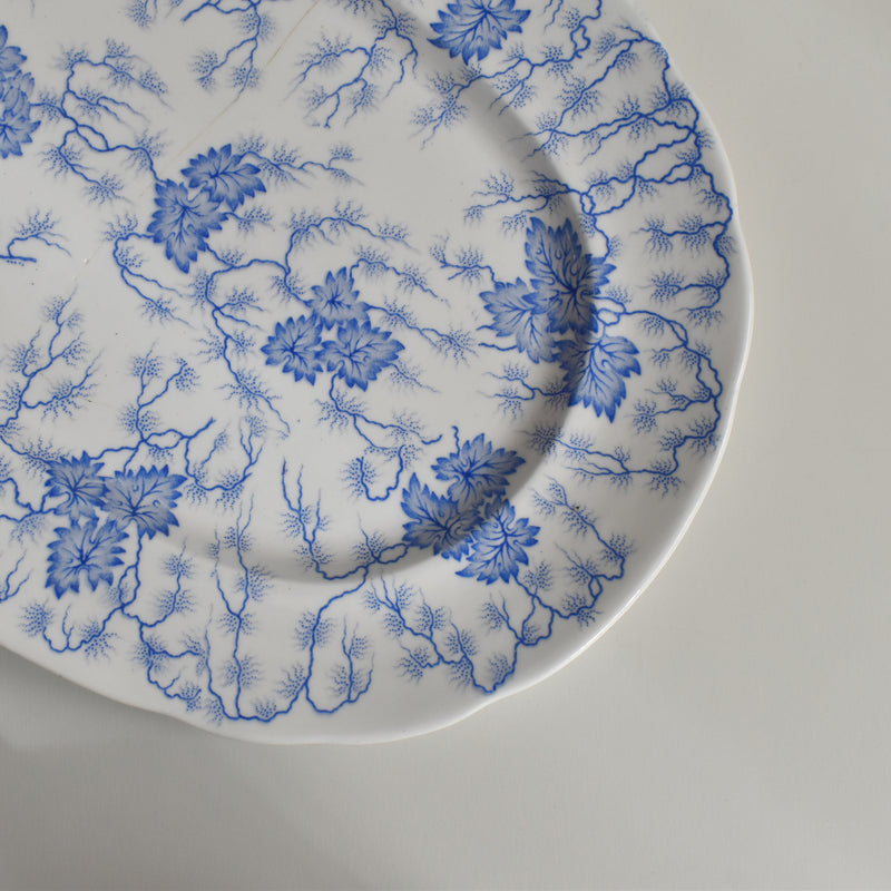 Antique Rectangular Platter, LM&Cie Creil et Montereau Flora Lichen