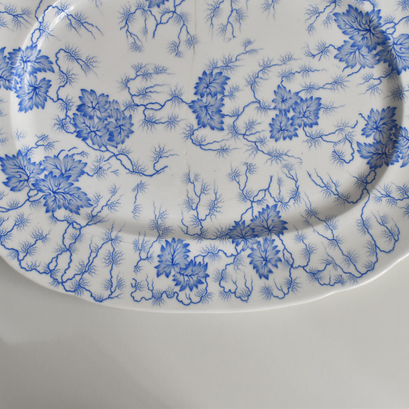 Antique Rectangular Platter, LM&Cie Creil et Montereau Flora Lichen