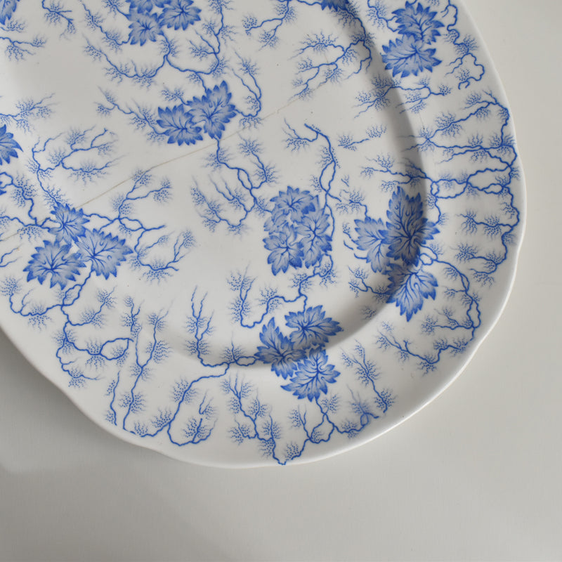 Antique Rectangular Platter, LM&Cie Creil et Montereau Flora Lichen