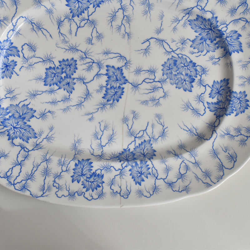 Antique Rectangular Platter, LM&Cie Creil et Montereau Flora Lichen