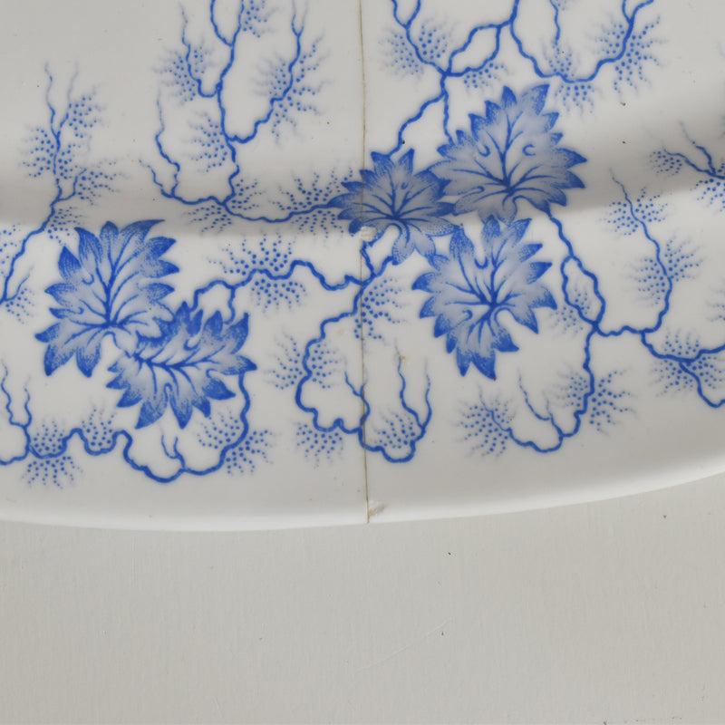 Antique Rectangular Platter, LM&Cie Creil et Montereau Flora Lichen