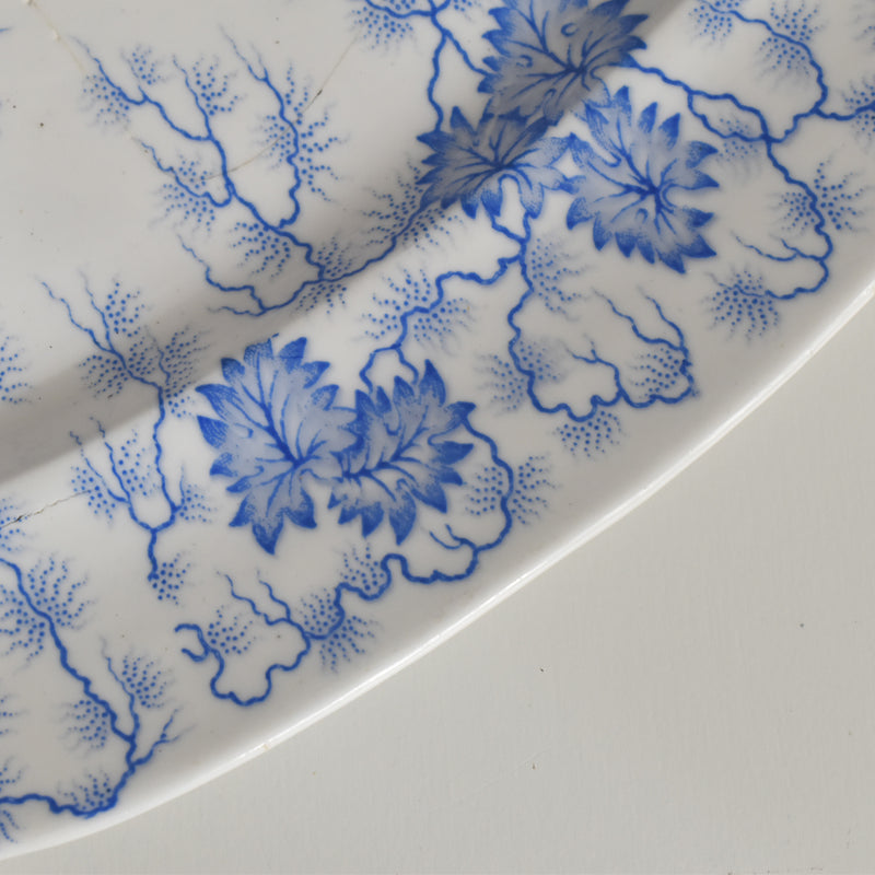 Antique Rectangular Platter, LM&Cie Creil et Montereau Flora Lichen