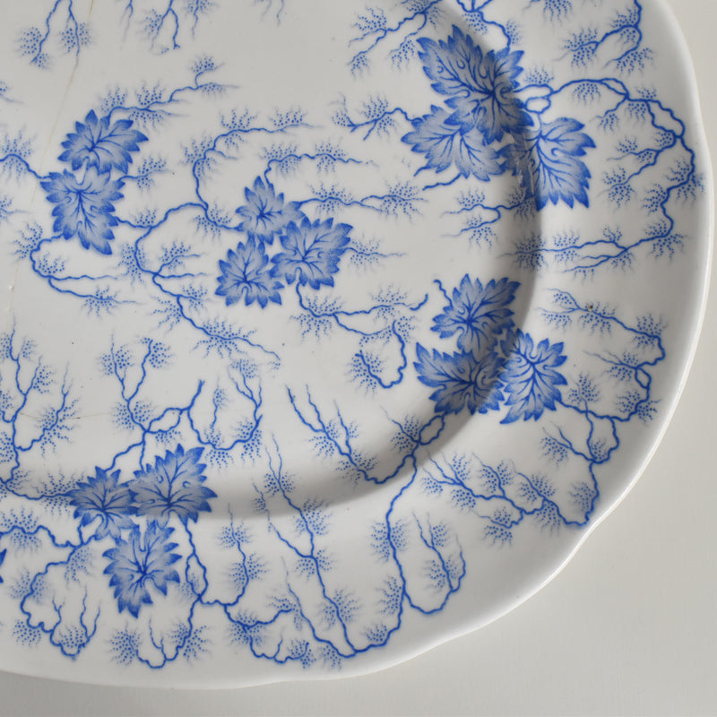 Antique Rectangular Platter, LM&Cie Creil et Montereau Flora Lichen