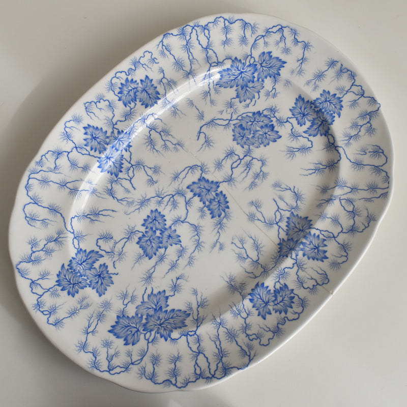 Antique Rectangular Platter, LM&Cie Creil et Montereau Flora Lichen