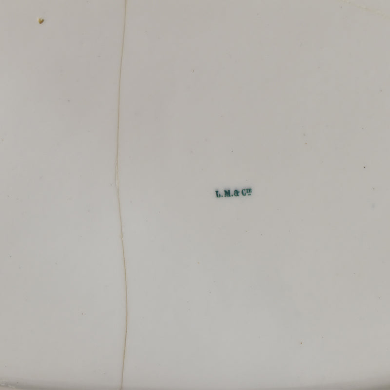 Antique Rectangular Platter, LM&Cie Creil et Montereau Flora Lichen