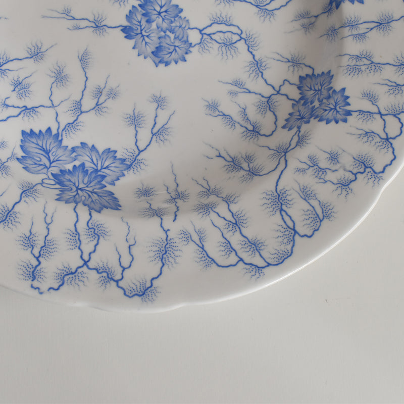 Antique Large Plate LM&Cie Creil et Montereau Flora Lichen