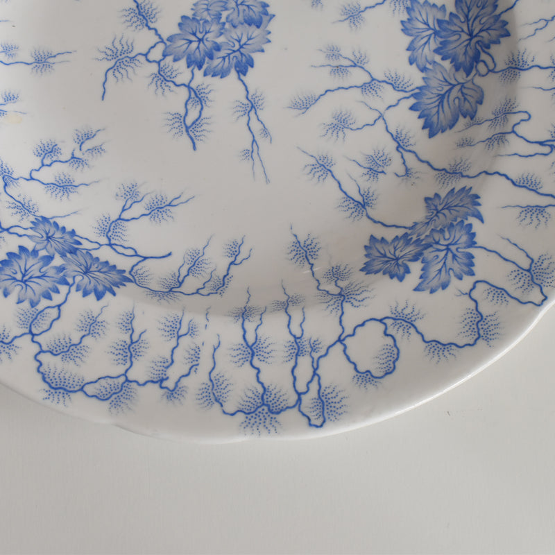 Antique Large Plate LM&Cie Creil et Montereau Flora Lichen