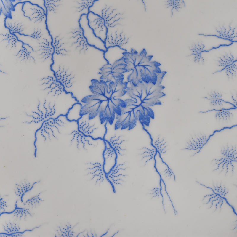 Antique Large Plate LM&Cie Creil et Montereau Flora Lichen