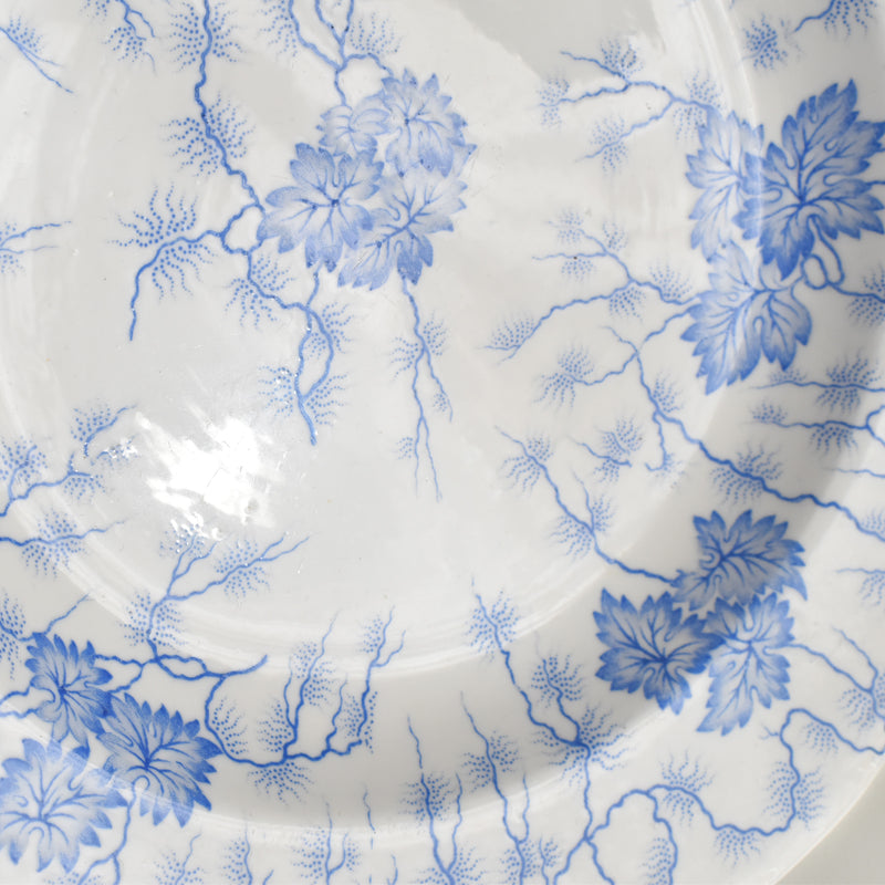 Antique Large Plate LM&Cie Creil et Montereau Flora Lichen