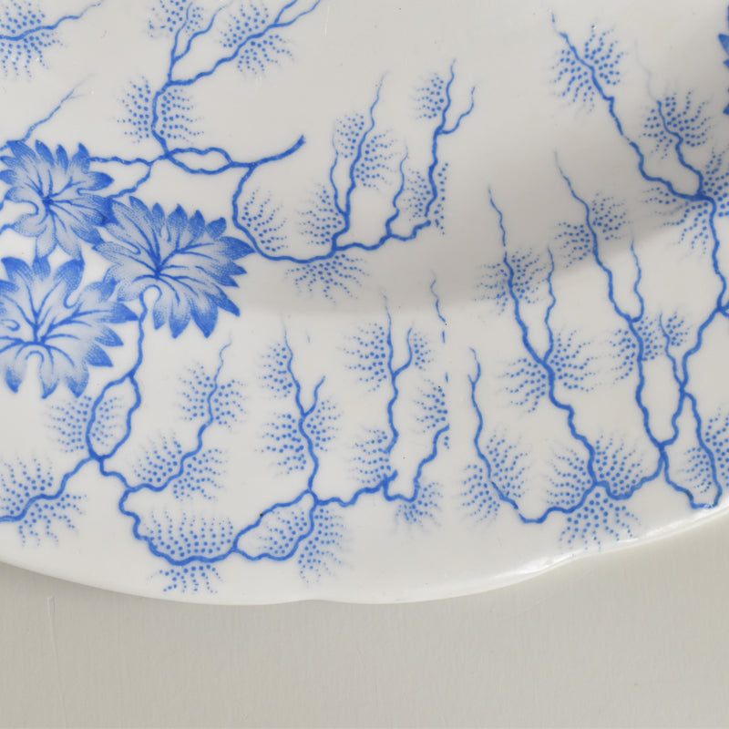 Antique Large Plate LM&Cie Creil et Montereau Flora Lichen