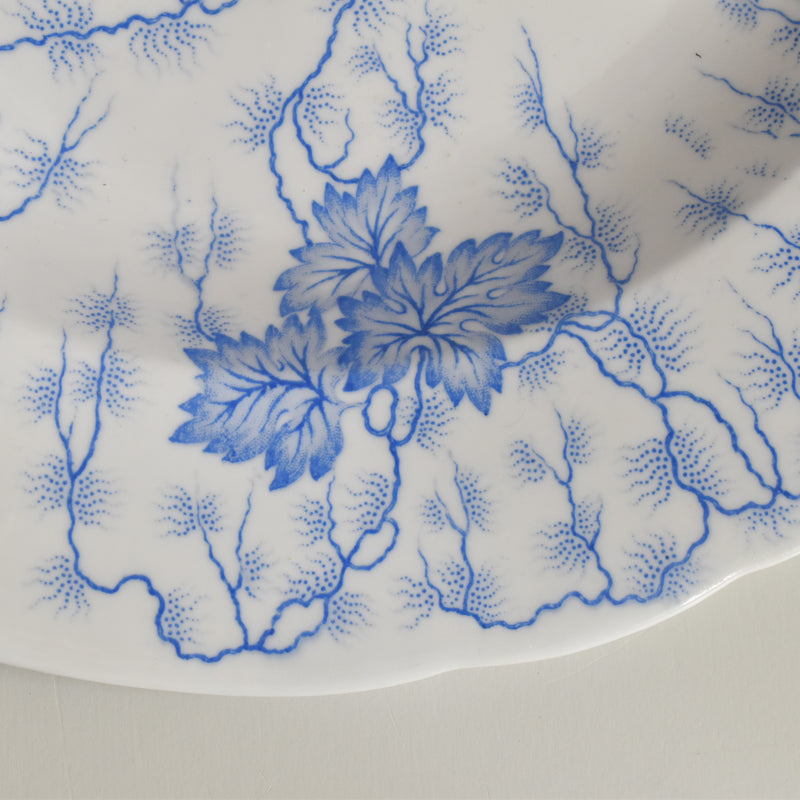 Antique Large Plate LM&Cie Creil et Montereau Flora Lichen