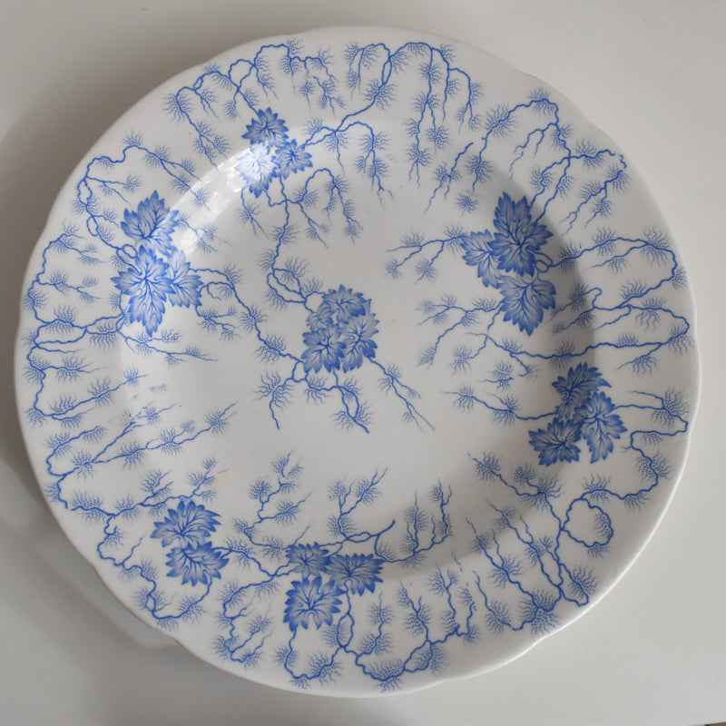 Antique Large Plate LM&Cie Creil et Montereau Flora Lichen