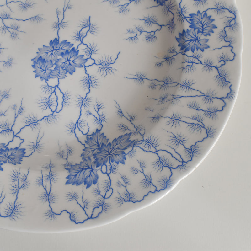 Antique Large Plate LM&Cie Creil et Montereau Flora Lichen
